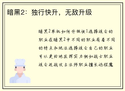 暗黑2：独行快升，无敌升级